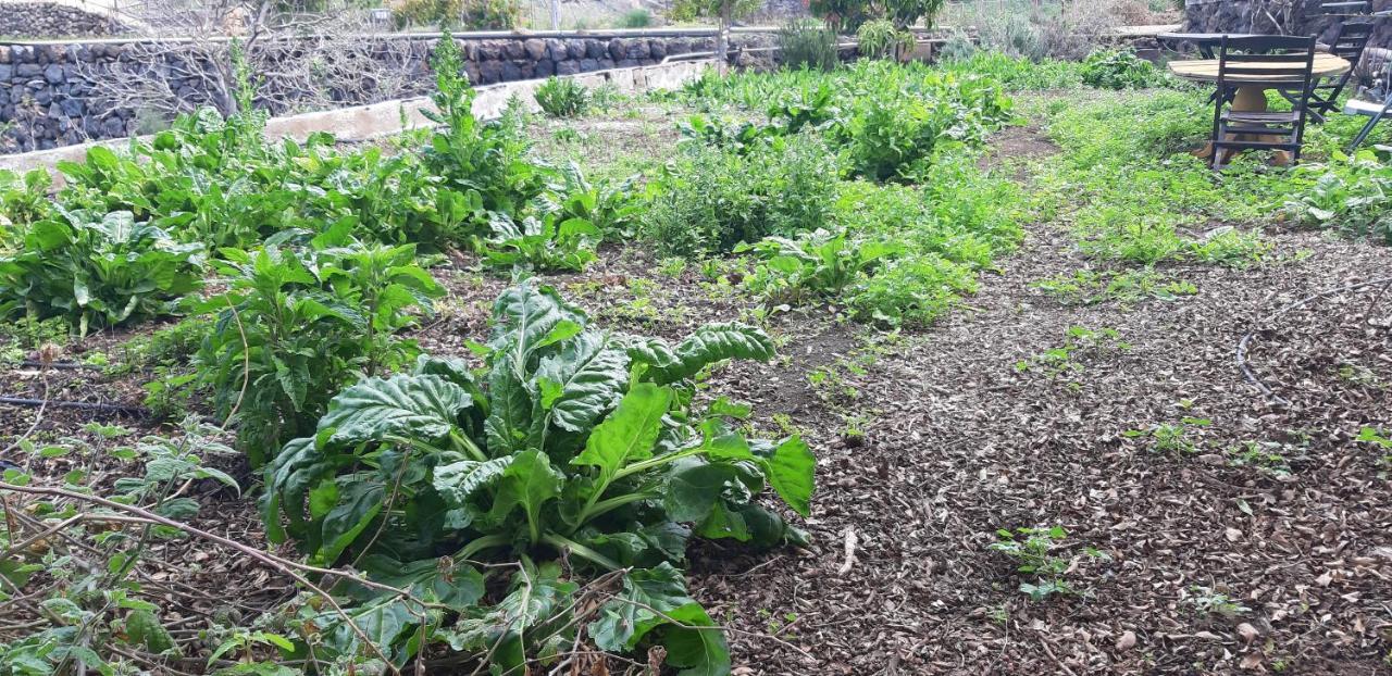 Casa Rural Finca Las Dulces Chío Kültér fotó