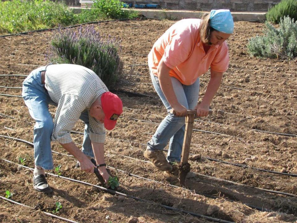 Casa Rural Finca Las Dulces Chío Kültér fotó