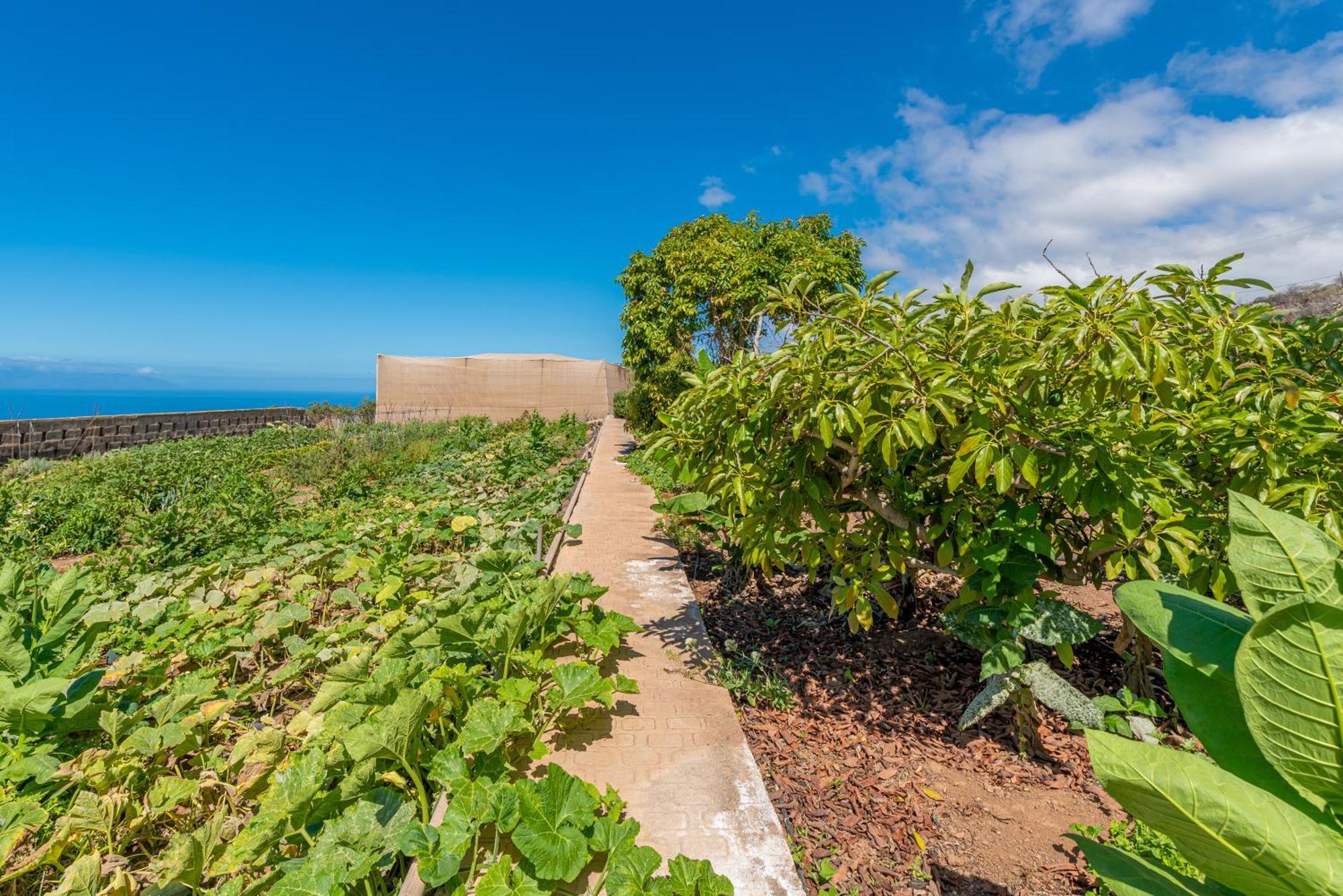 Casa Rural Finca Las Dulces Chío Kültér fotó
